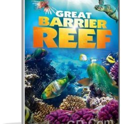 وثائقى الحيد المرجانى العظيم | Great Barrier Reef | مترجم 3 أفلام